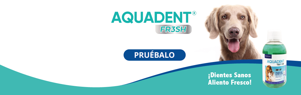 AQUADENT FR3SH